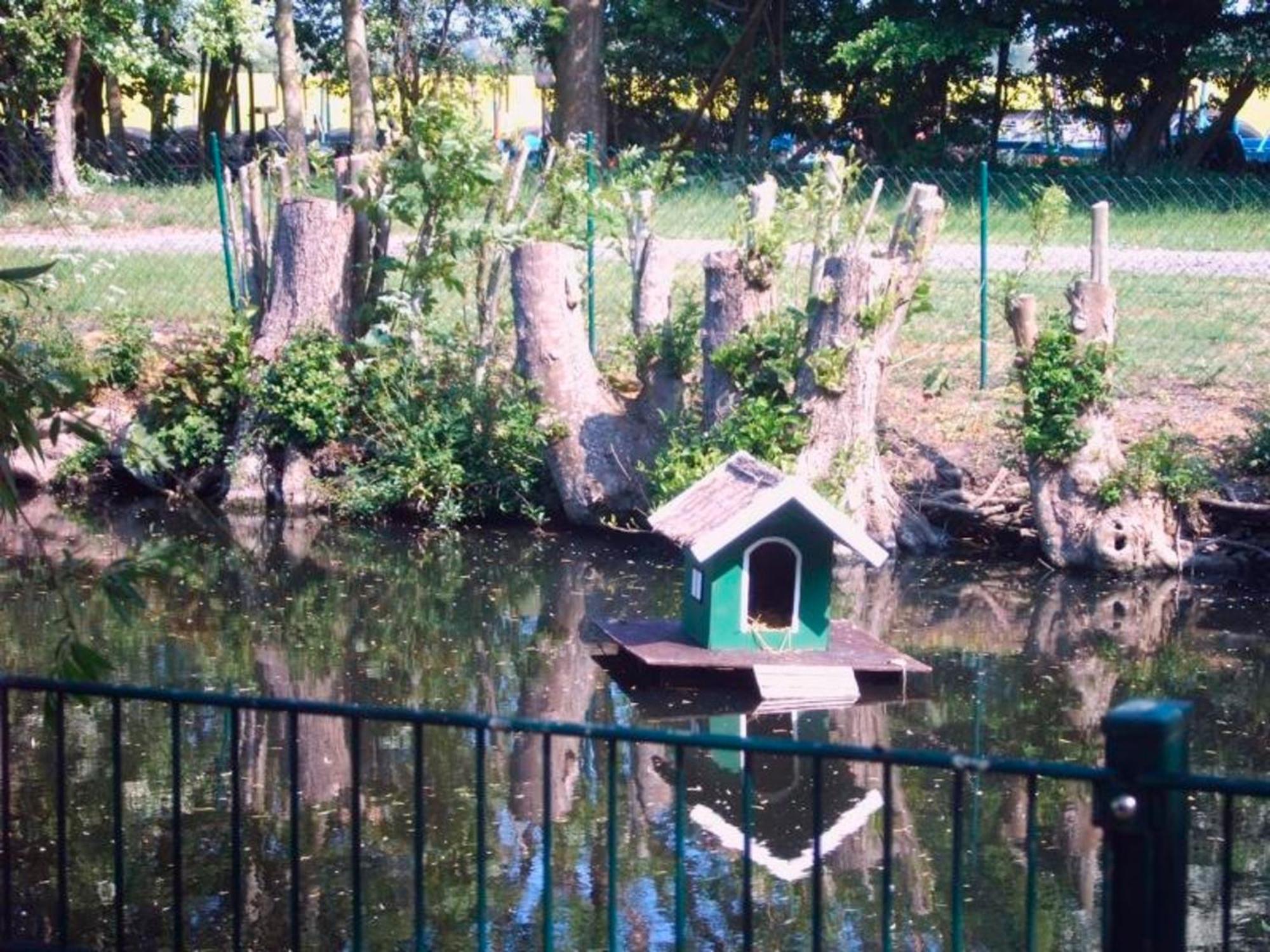 "Hoeper Mittelhof" Doppelzimmer Nr4 Lemkendorf ภายนอก รูปภาพ