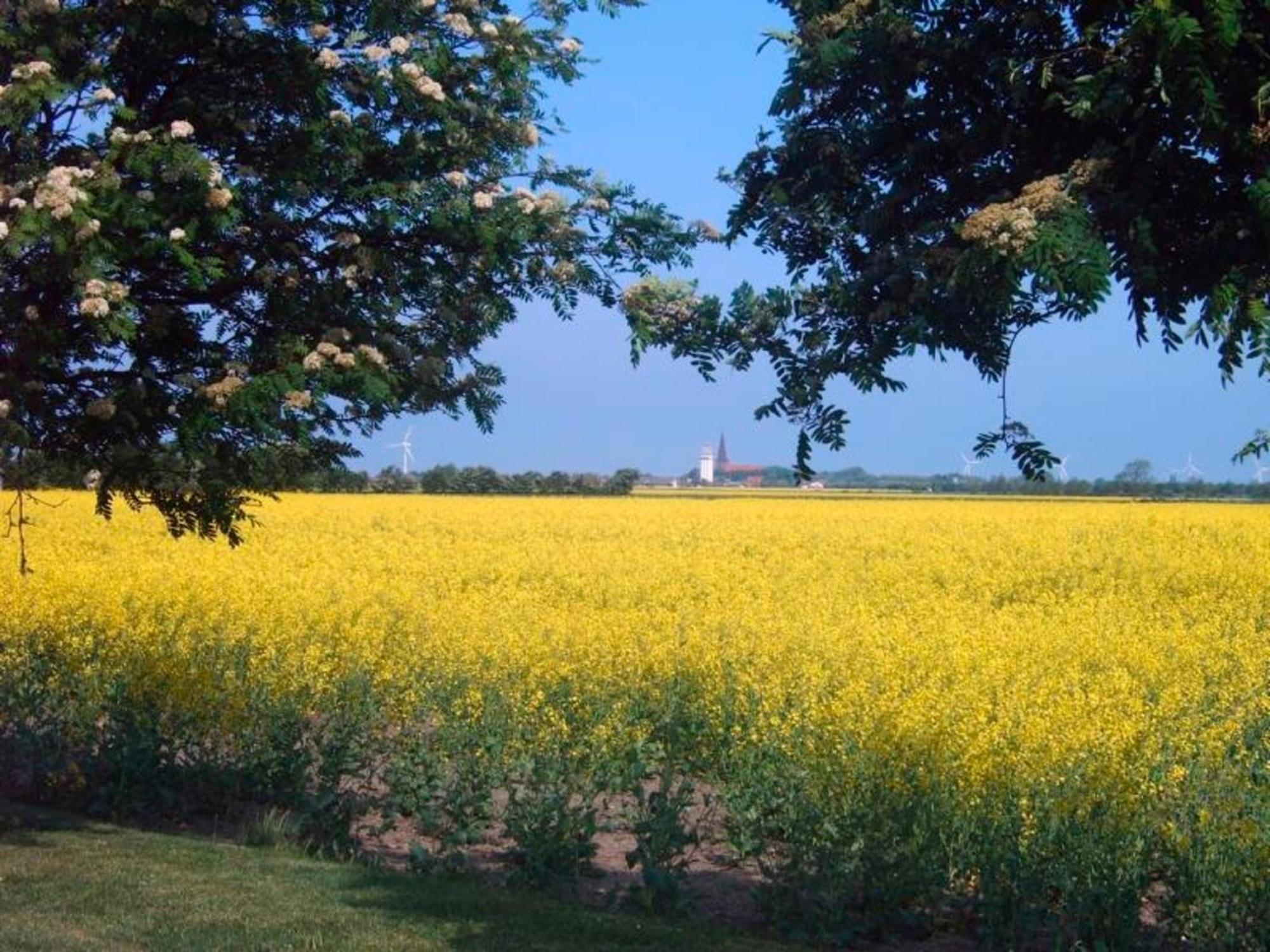 "Hoeper Mittelhof" Doppelzimmer Nr4 Lemkendorf ภายนอก รูปภาพ